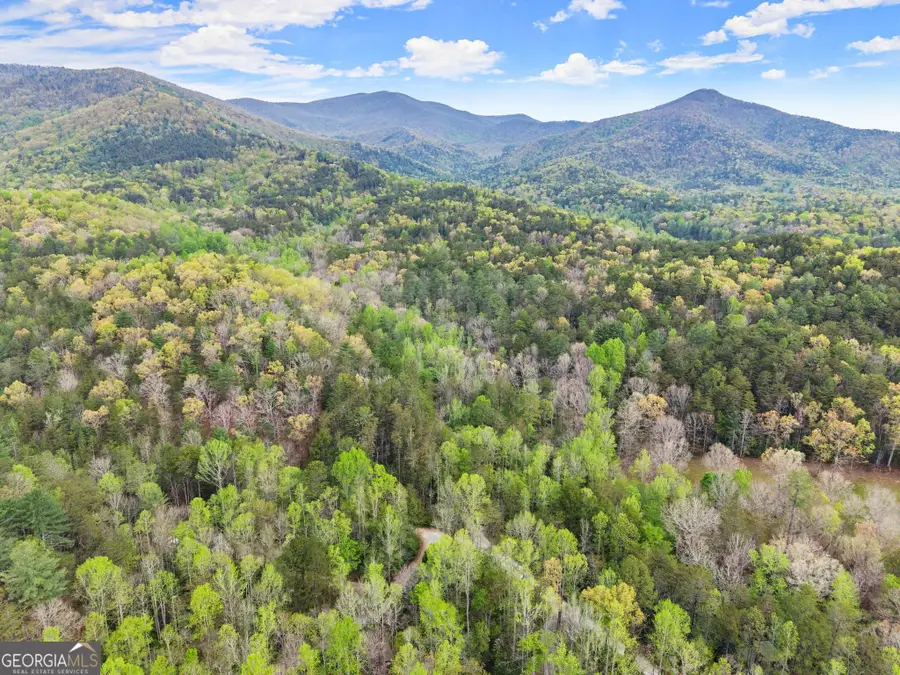 0 S Fern Cove Road, Sautee Nacoochee, GA 30571 - #2