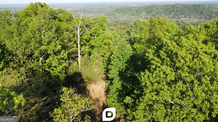 0 Anderson Road, Toccoa, GA 30577 - #3