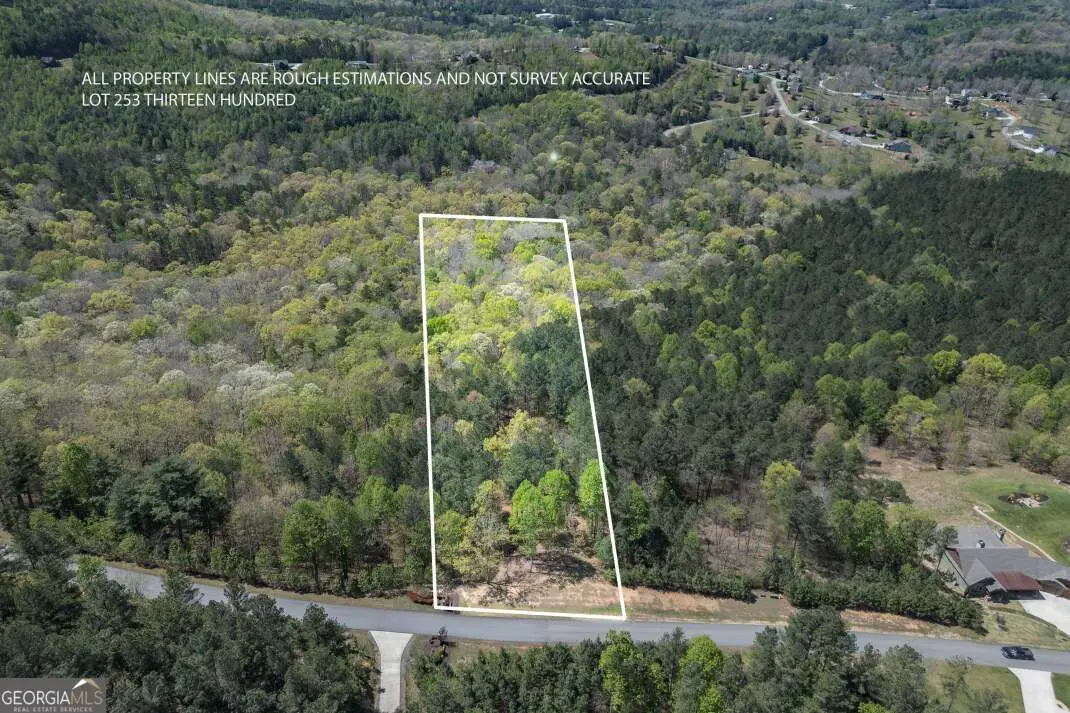 LOT 253 The Cove @ 1300, Blairsville, GA 30512 - #1