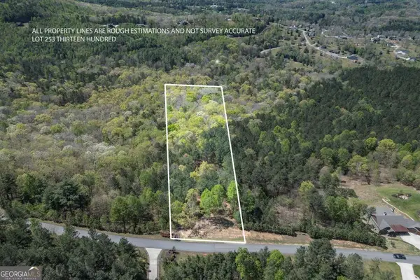LOT 253 The Cove @ 1300, Blairsville, GA 30512