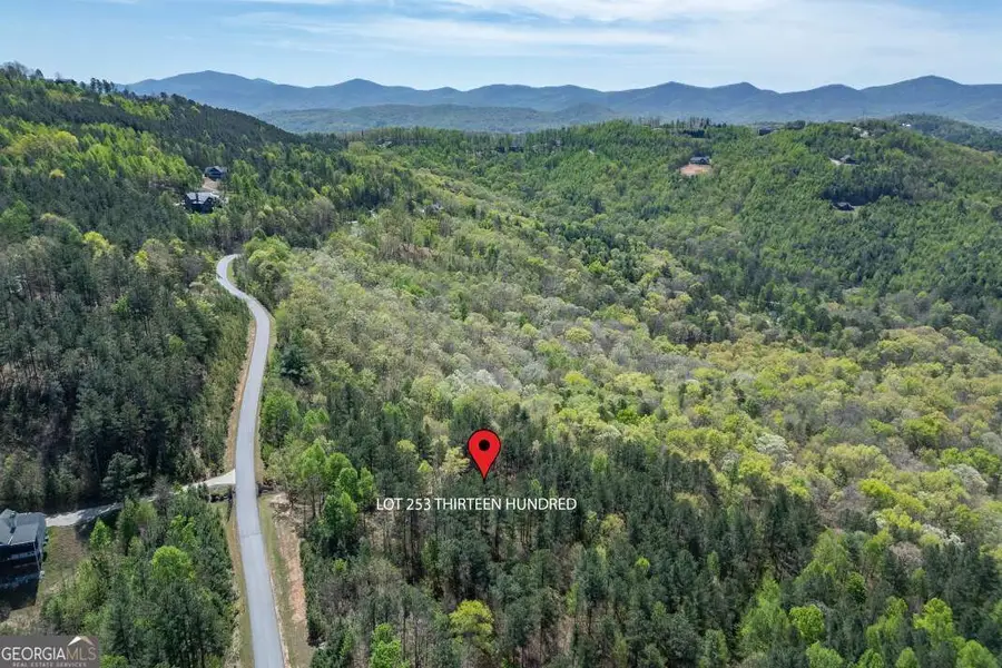 LOT 253 The Cove @ 1300, Blairsville, GA 30512 - #2
