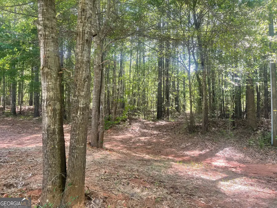 0 Fincher Road, Covington, GA 30016 - #2