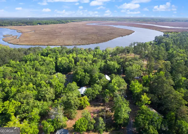 1054 Peaceful Valley Drive Ne, Townsend, GA 31331