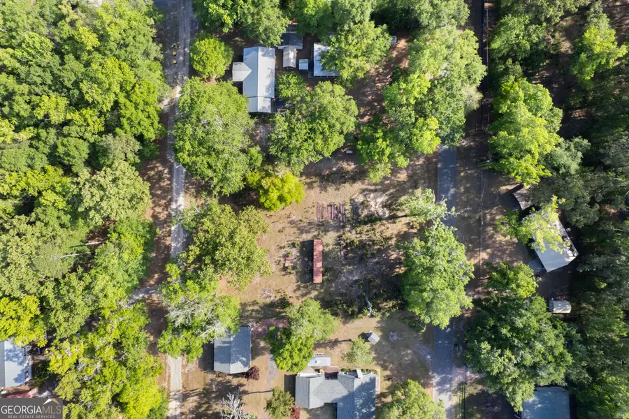 1054 Peaceful Valley Drive Ne, Townsend, GA 31331 - #3