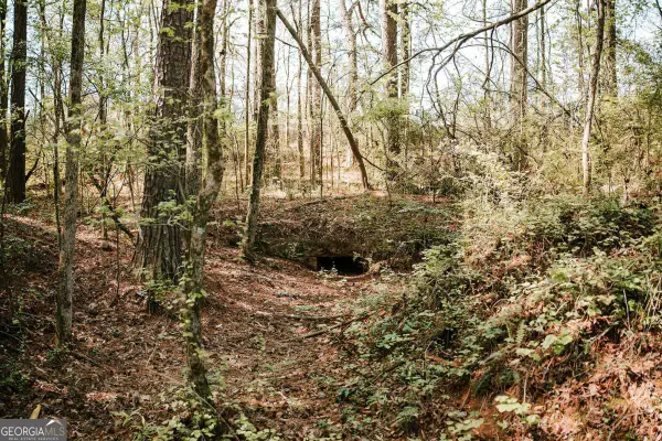 0 Union Point Road, Stephens, GA 30667