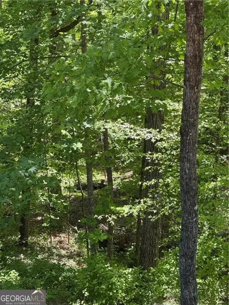 0 Clark Drive, Alpharetta, GA 30004 - #1