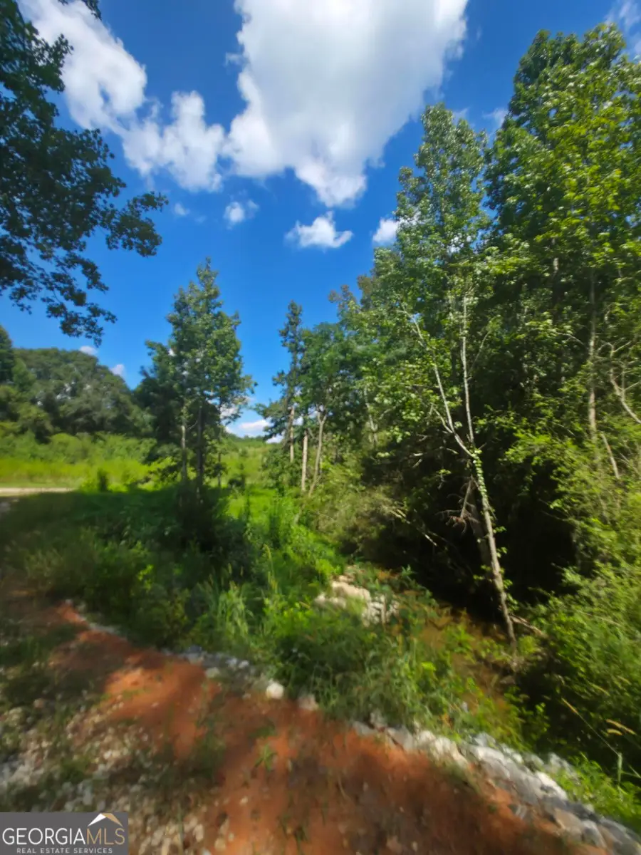 80 Charlotte Circle, Statham, GA 30666 - #3