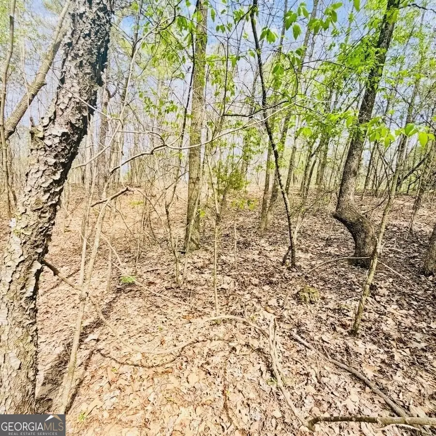 0 T Johnson Road, Ranger, GA 30734 - #2