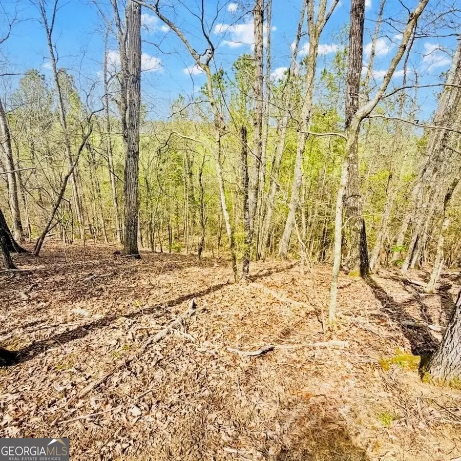 0 T Johnson Road, Ranger, GA 30734 - #3