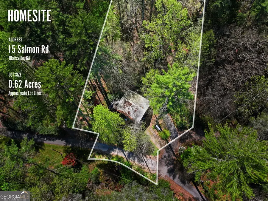 15 Salmon Road, Blairsville, GA 30512 - #3