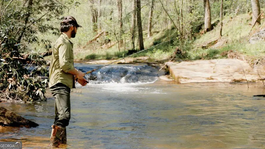 500 Big Sky Trail, Dahlonega, GA 30533 - #3