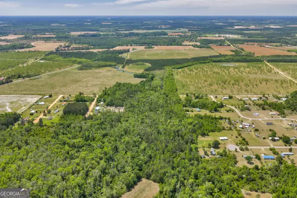 0 Twin Oaks Road, Ray city, GA 31645
