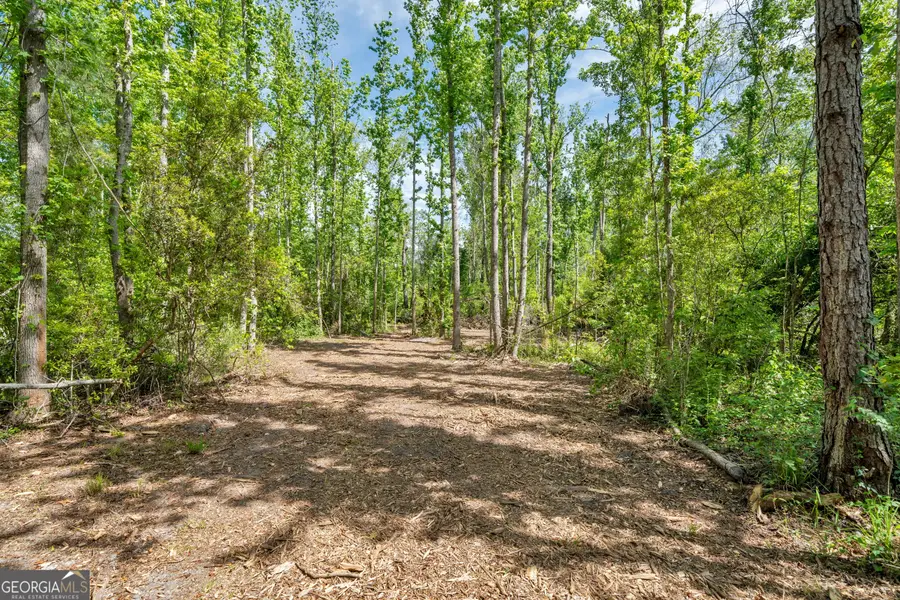 0 Twin Oaks Road, Ray City, GA 31645 - #3