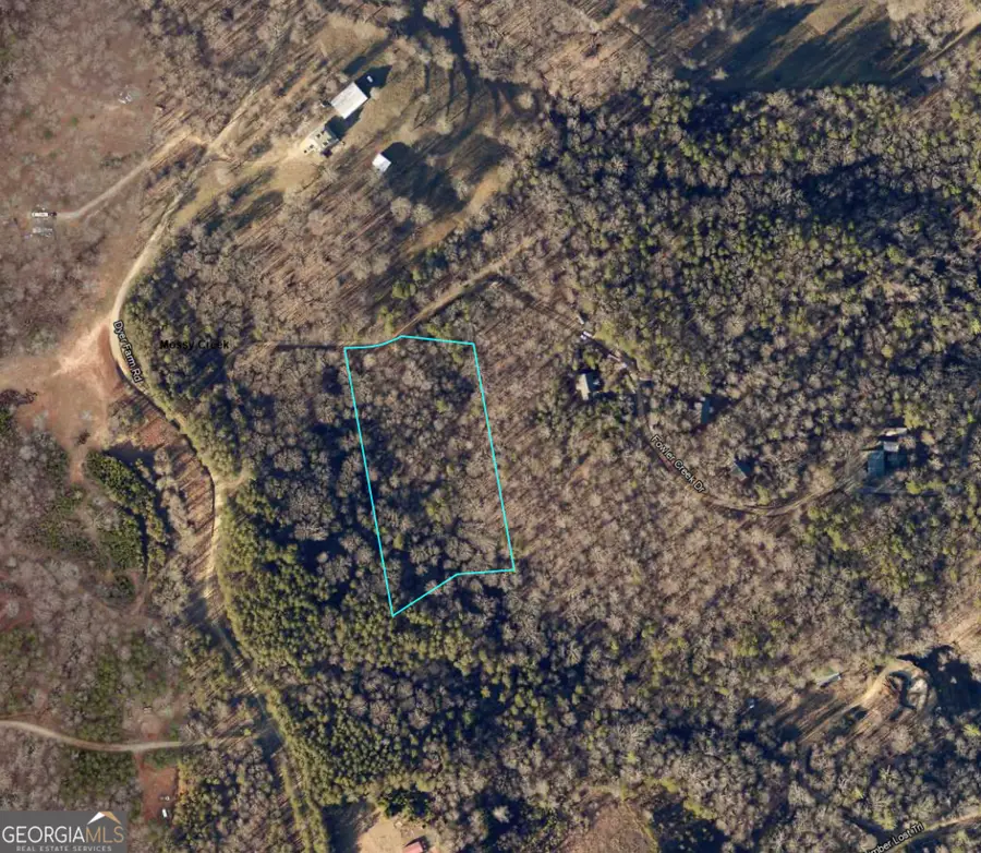 LOT 5 Fowler Creek Drive, Cleveland, GA 30528 - #2