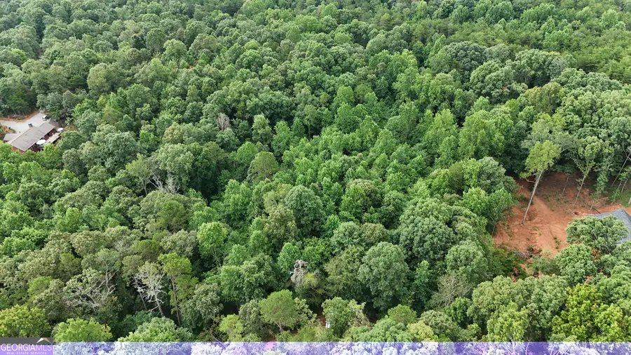 LOT 5 Fowler Creek Drive, Cleveland, GA 30528 - #3