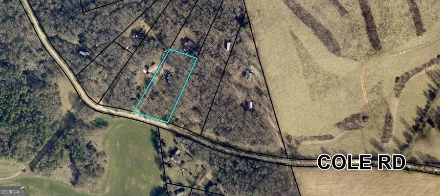 2627 Cole Road, Carnesville, GA 30521 - #2