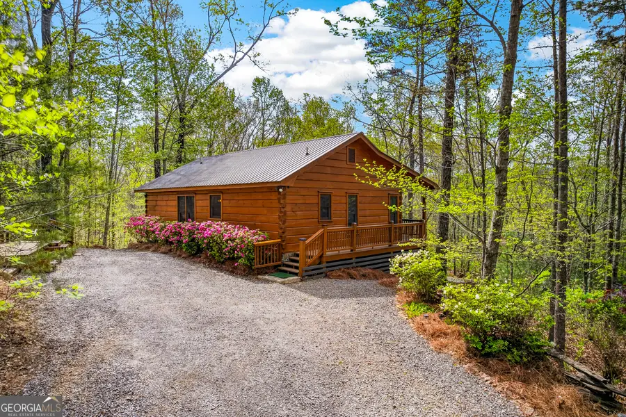 122 Moreland Drive N, Cherry Log, GA 30522 - #3