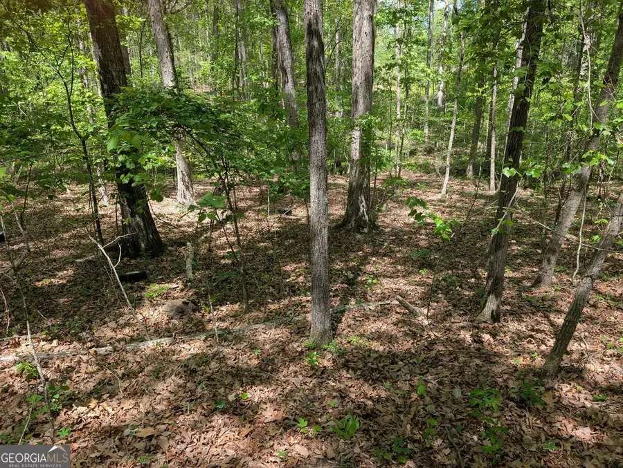 110 Honeysuckle Drive, Cumming, GA 30040 - #2