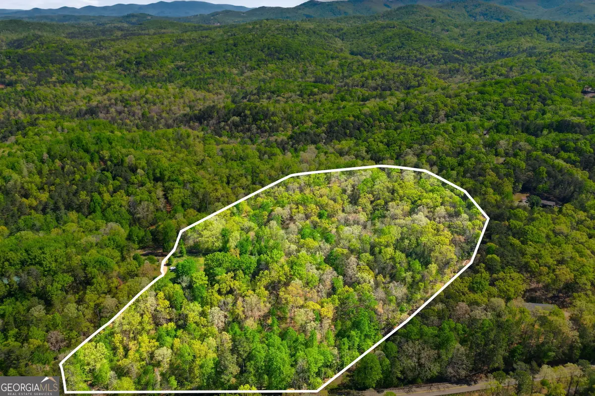 1933 Highway 136 W, Talking Rock, GA 30175 - #1
