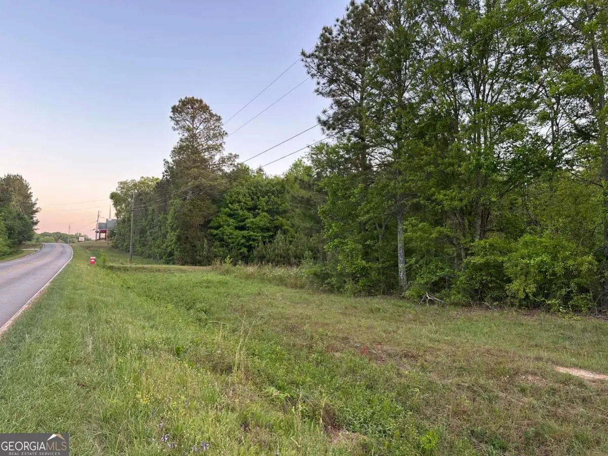 0 Sandy Flat Road, Bowdon, GA 30108 - #1