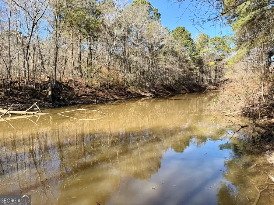0 Jenkins Farm Road, Byromville, GA 31007 - #3