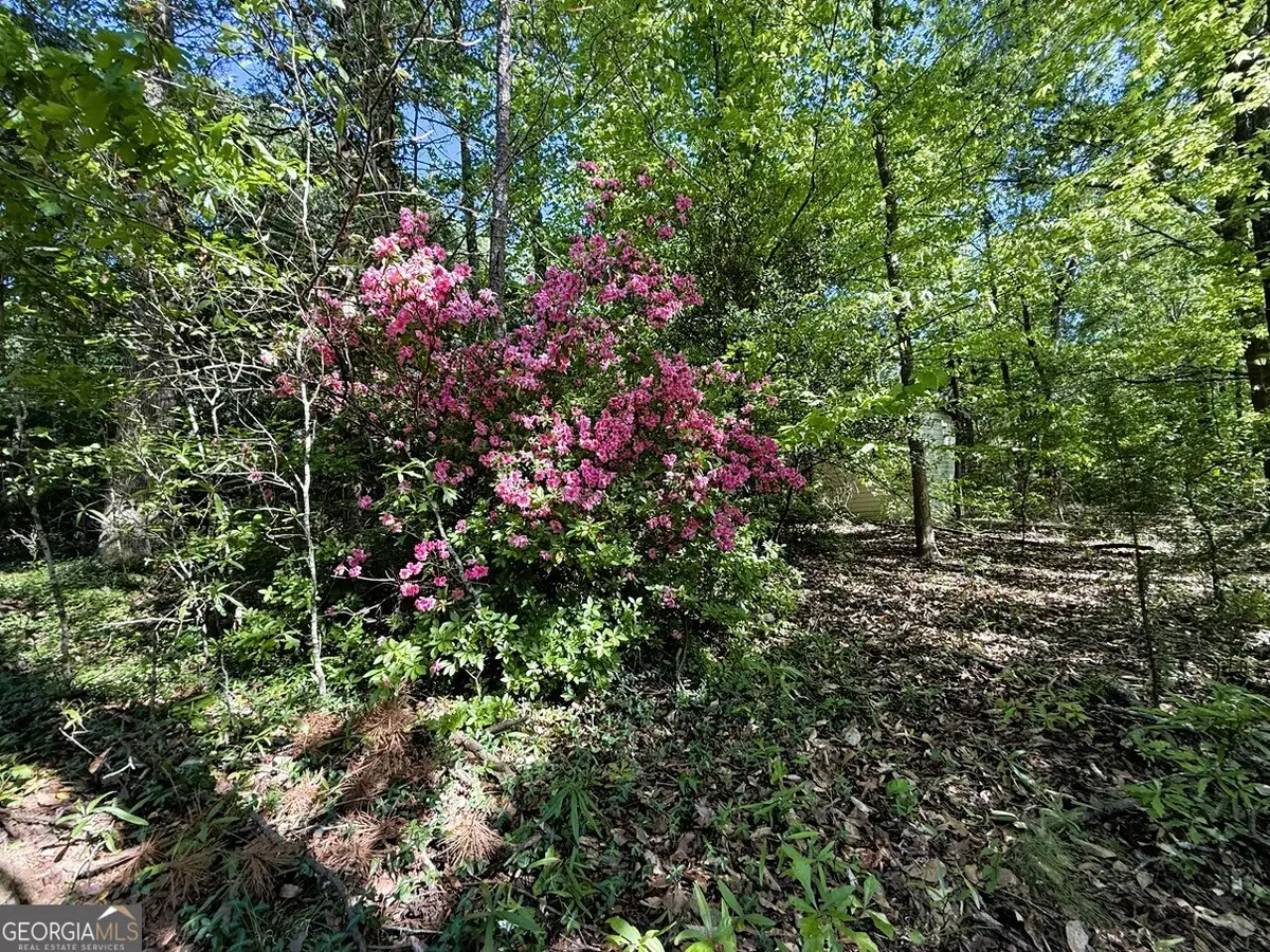 4655 Hwy 29, Royston, GA 30662 - #1