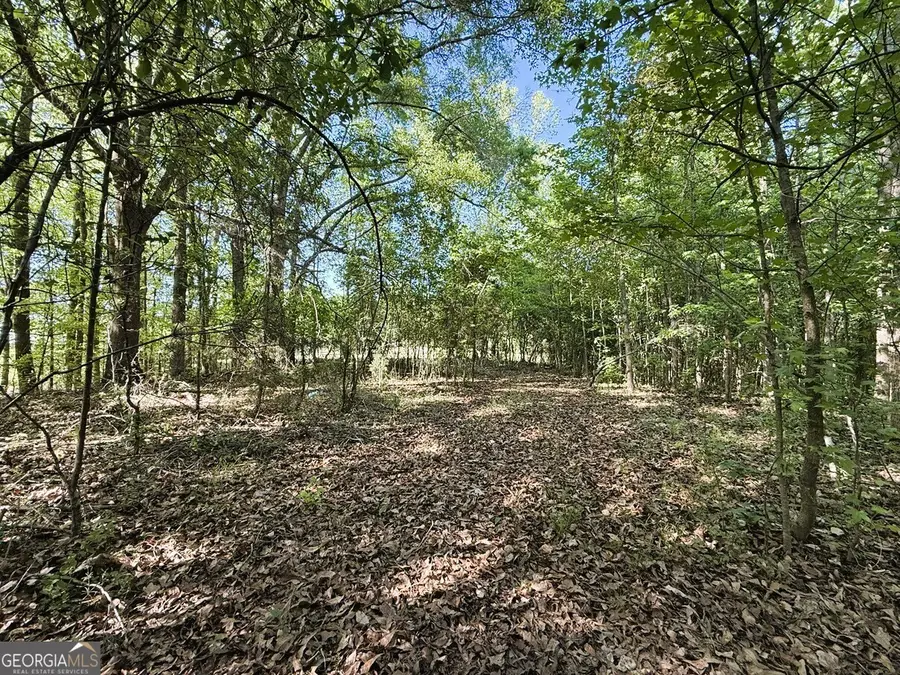 4655 Hwy 29, Royston, GA 30662 - #3