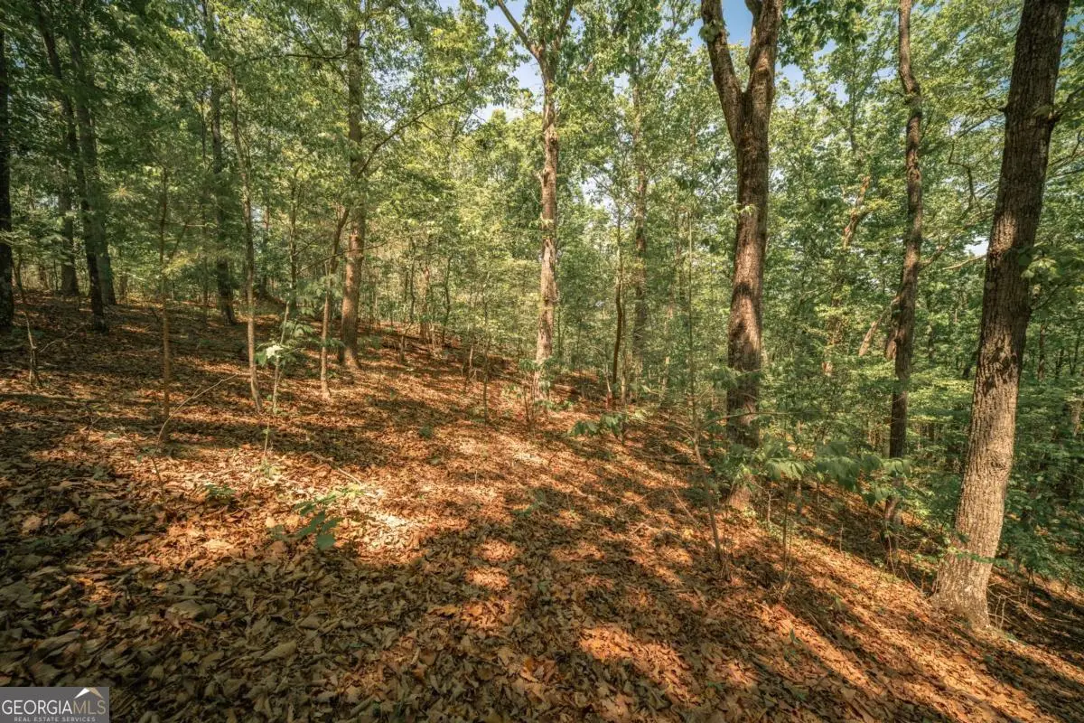 00 Hancock Mountain Trl, Waleska, GA 30183 - #1