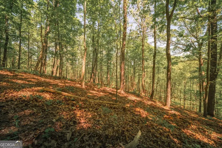 00 Hancock Mountain Trl, Waleska, GA 30183 - #2