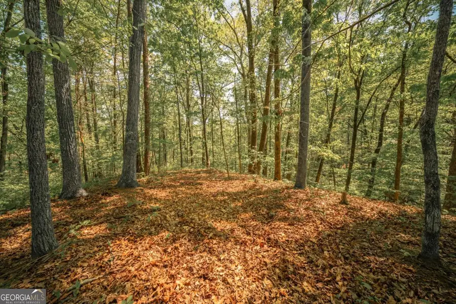 00 Hancock Mountain Trl, Waleska, GA 30183 - #3