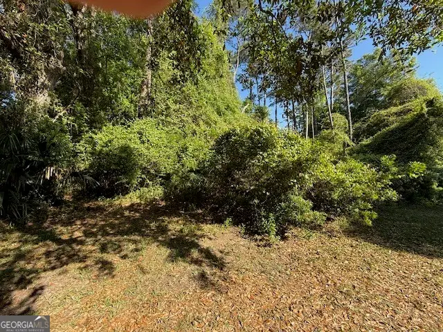 113 Butler Lake Drive, Saint Simons Island, GA 31522 - #3