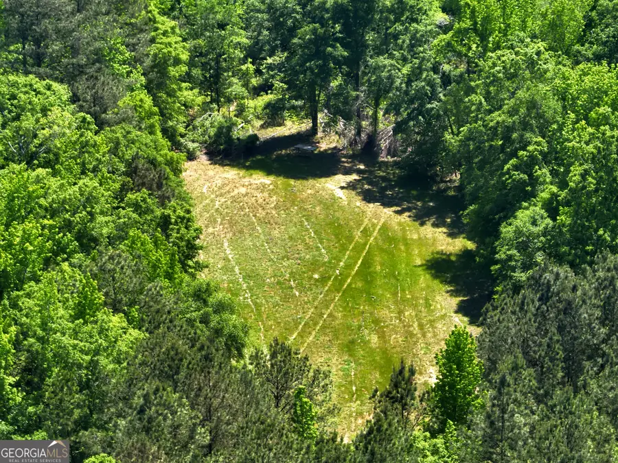 3841 Wilson Road, Davisboro, GA 31018 - #2