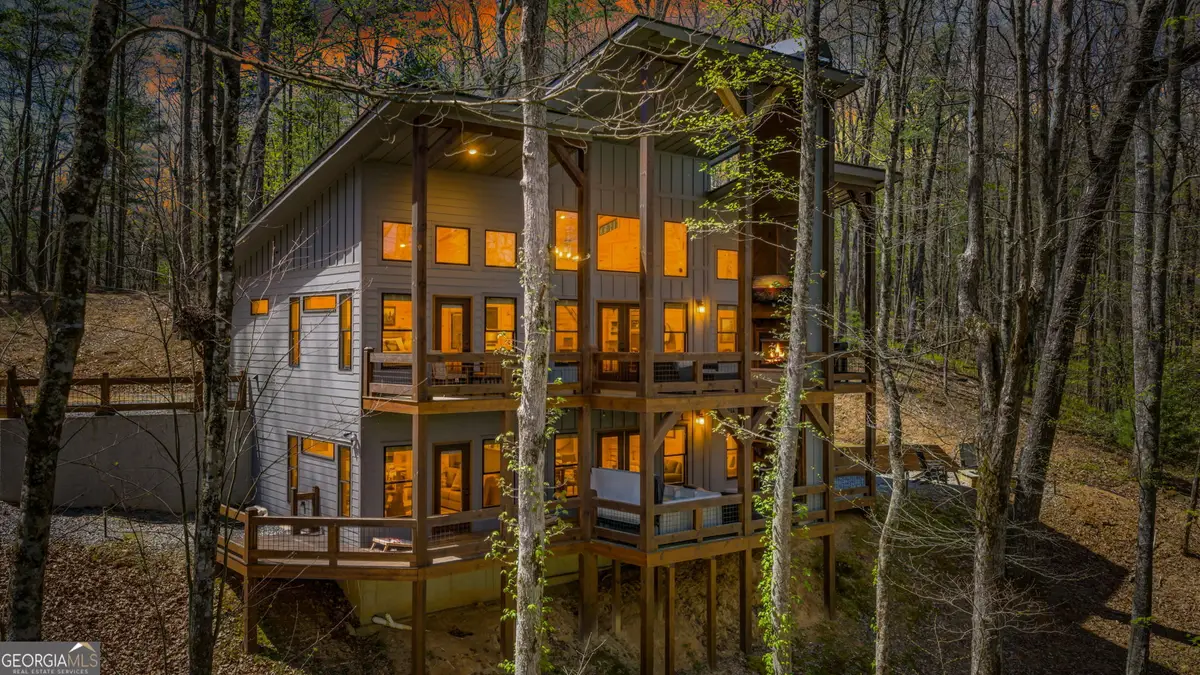 129 Bushy Head Road, Cherry Log, GA 30522 - #1