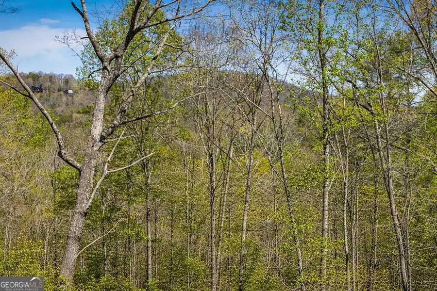 129 Bushy Head Road, Cherry Log, GA 30522 - #2