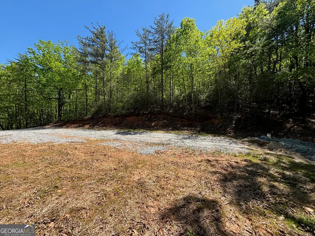 174 Forbes Drive, Cleveland, GA 30528 - #1