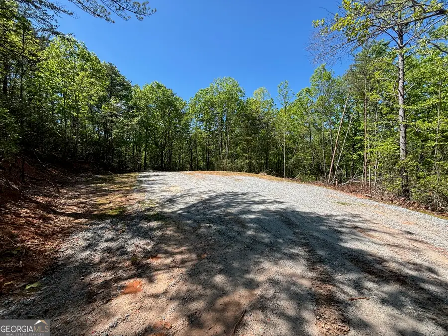 174 Forbes Drive, Cleveland, GA 30528 - #2