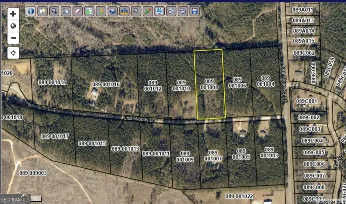 104 Lisa Woods Lane, Eatonton, GA 31024 - #1