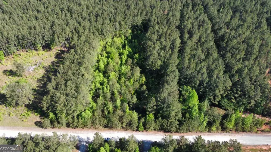 104 Lisa Woods Lane, Eatonton, GA 31024 - #2