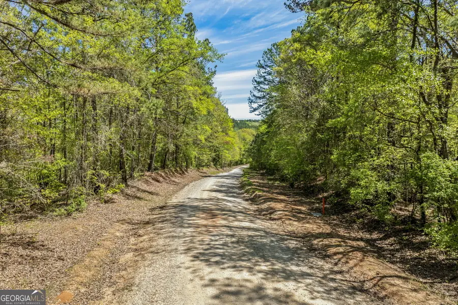 0 Liberty Hill Glenn Road, Lagrange, GA 30240 - #3