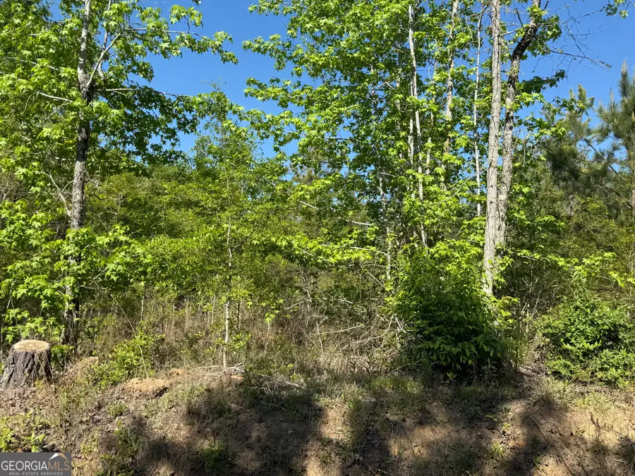 8087 Sandhill Road, Mitchell, GA 30820 - #3