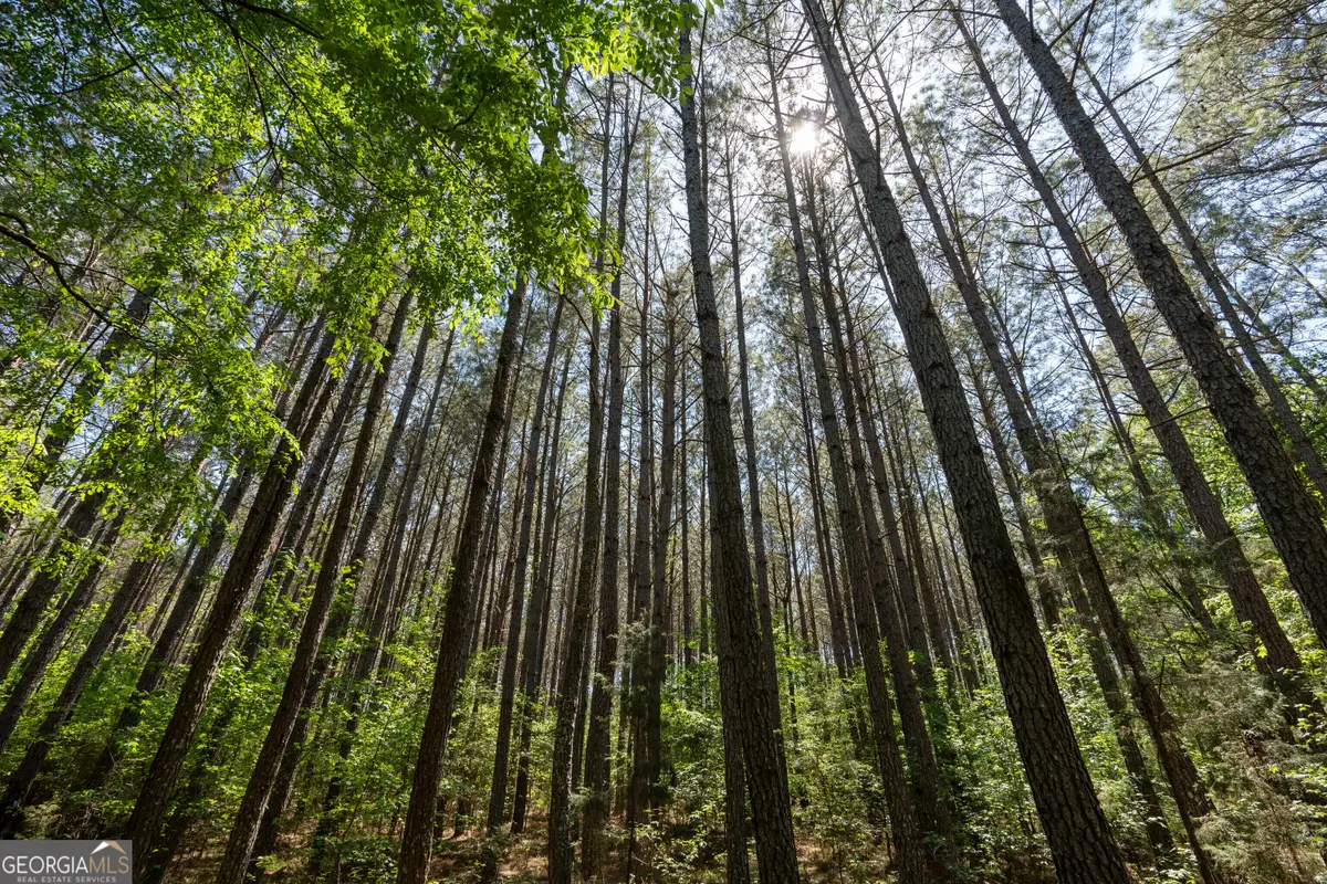 2486 Hulmes Chapel Road, Elberton, GA 30635 - #1