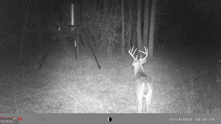 2486 Hulmes Chapel Road, Elberton, GA 30635 - #3