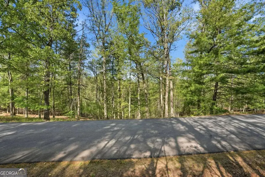 0 Mill Trace Court, Cleveland, GA 30528 - #2