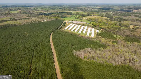 435 Morgan Road, Yatesville, GA 31097