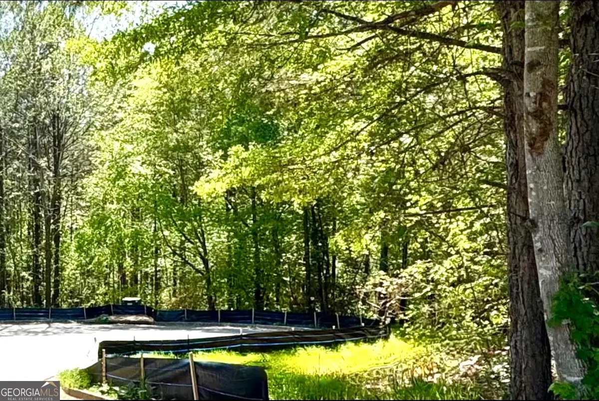 144 Constitution Point, Dallas, GA 30132 - #1