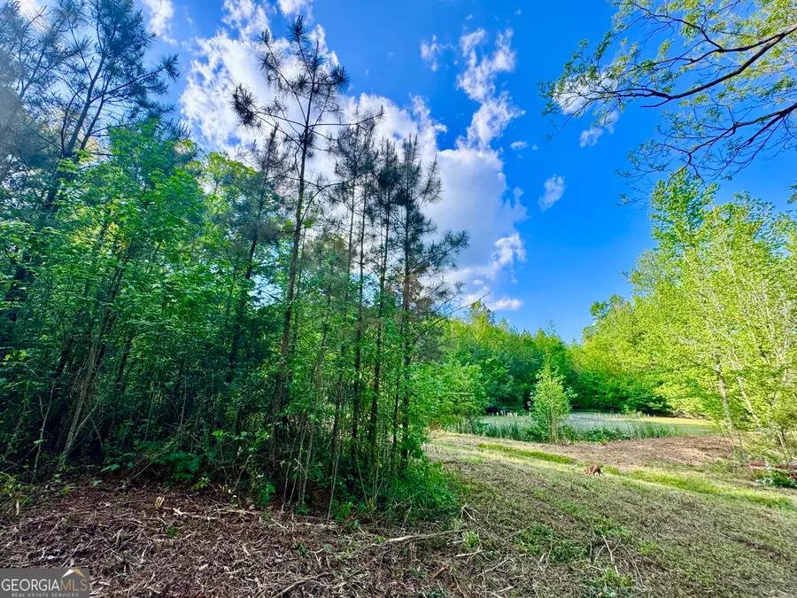 1300 Robinson Street, Roopville, GA 30170 - #3