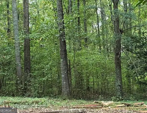 2447 Holly Court #4, Cumming, GA 30041