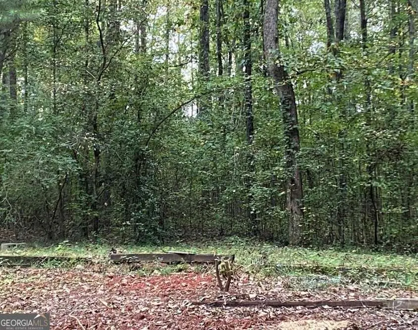 2447 Holly Court #4, Cumming, GA 30041 - #3