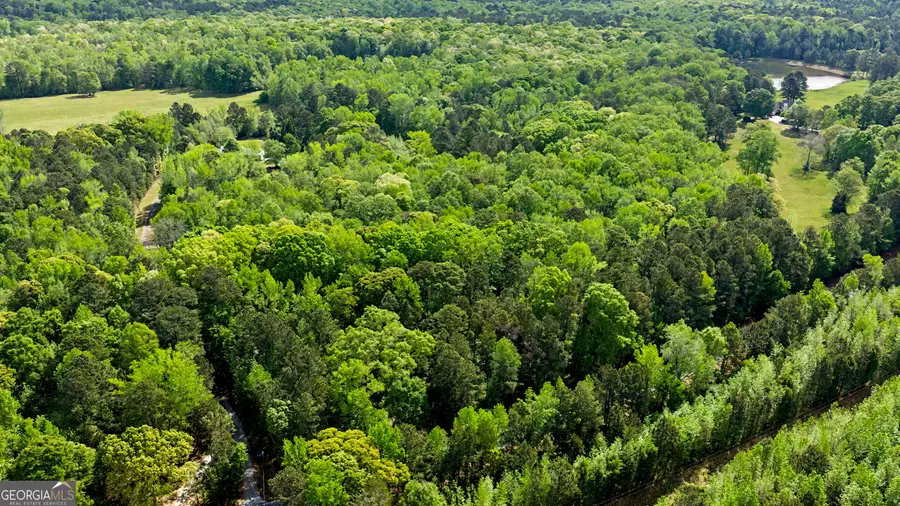 N OF 482 Antioch Road - 25.596 Acres, Fayetteville, GA 30215 - #2