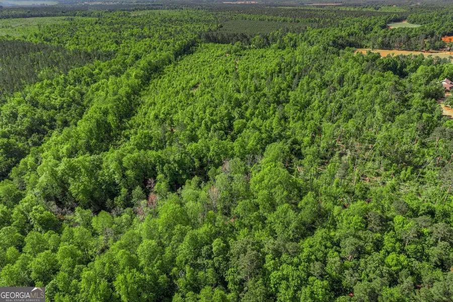 1453 Atwell Station Road, Wrens, GA 30833 - #3